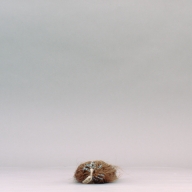 W:10 (cm)×D:38 (cm)×H:5.8 (cm)／145 (g)，Measurement date:2002-09-11