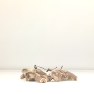 W:14 (cm)×D:36 (cm)×H:6.3 (cm)／442 (g)，Measurement date:1996-06-03