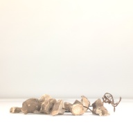 W:14 (cm)×D:36 (cm)×H:6.3 (cm)／442 (g)，Measurement date:1996-06-03