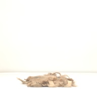 幅：26 (cm)×奥行：41 (cm)×高さ：5.6 (cm)／79 (g)，撮影・計測日：1996-05-17