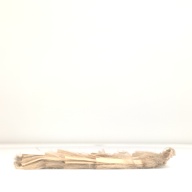 幅：26 (cm)×奥行：41 (cm)×高さ：5.6 (cm)／79 (g)，撮影・計測日：1996-05-17