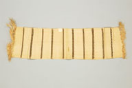 横：155 (cm)×縦：40 (cm)／112 (g)，撮影・計測日：2008-01-28