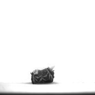 幅：11 (cm)×奥行：2.8 (cm)×高さ：0.3 (cm)／3 (g)，撮影・計測日：1996-12-16