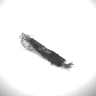 幅：10 (cm)×奥行：2.9 (cm)×高さ：0.3 (cm)／3 (g)，撮影・計測日：1996-12-16