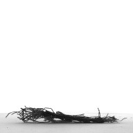 幅：10 (cm)×奥行：2.9 (cm)×高さ：0.3 (cm)／3 (g)，撮影・計測日：1996-12-16