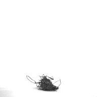 幅：10 (cm)×奥行：2.9 (cm)×高さ：0.3 (cm)／3 (g)，撮影・計測日：1996-12-16