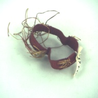 幅：0.1 (cm)×奥行：8.9 (cm)×高さ：2.0 (cm)／3 (g)，撮影・計測日：1996-12-16