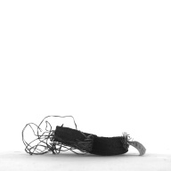 幅：0.1 (cm)×奥行：8.9 (cm)×高さ：2.0 (cm)／3 (g)，撮影・計測日：1996-12-16