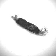 W:8.7 (cm)×D:2.5 (cm)×H:0.3 (cm)／2 (g)，Measurement date:1996-12-17