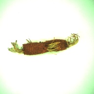 W:8.7 (cm)×D:2.5 (cm)×H:0.3 (cm)／2 (g)，Measurement date:1996-12-17