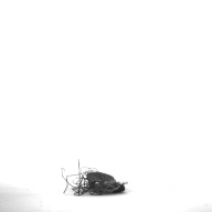 幅：11 (cm)×奥行：2.9 (cm)×高さ：0.2 (cm)／2 (g)，撮影・計測日：1996-12-17