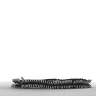 幅：1.1 (cm)×奥行：8.2 (cm)×高さ：1.0 (cm)／25 (g)，撮影・計測日：1996-12-17