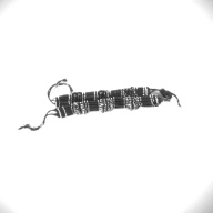 幅：2.1 (cm)×奥行：17 (cm)×高さ：1.0 (cm)／33 (g)，撮影・計測日：1997-02-13