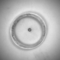 幅：9.4 (cm)×奥行：9.5 (cm)×高さ：1.1 (cm)／64 (g)，撮影・計測日：1993-12-16