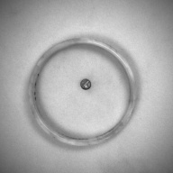 幅：8.5 (cm)×奥行：8.5 (cm)×高さ：0.9 (cm)／28 (g)，撮影・計測日：1993-12-16