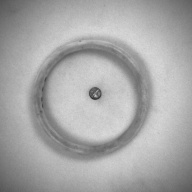 幅：7.9 (cm)×奥行：7.9 (cm)×高さ：0.8 (cm)／29 (g)，撮影・計測日：1993-12-16