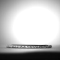 幅：8.4 (cm)×奥行：9.2 (cm)×高さ：0.6 (cm)／24 (g)，撮影・計測日：1993-11-30