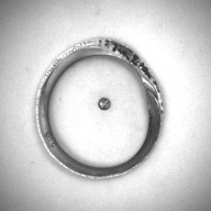 幅：8.4 (cm)×奥行：9.2 (cm)×高さ：0.6 (cm)／24 (g)，撮影・計測日：1993-11-30