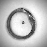 幅：9.2 (cm)×奥行：9.9 (cm)×高さ：0.8 (cm)／35 (g)，撮影・計測日：1993-12-01