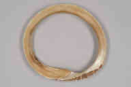 撮影・計測日：2010-09-29