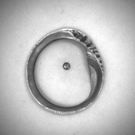 幅：8.6 (cm)×奥行：9.5 (cm)×高さ：0.7 (cm)／30 (g)，撮影・計測日：1993-12-01