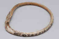 撮影・計測日：2010-09-29