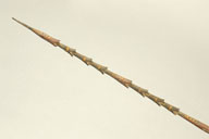 幅：0.9 (cm)×厚み：0.9 (cm)×長さ：134 (cm)／49 (g)，撮影・計測日：2008-06-27