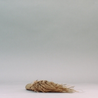 幅：19 (cm)×奥行：39 (cm)×高さ：6.8 (cm)／53 (g)，撮影・計測日：2002-09-17