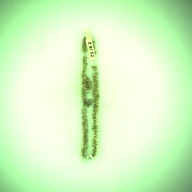 W:1.3 (cm)×D:22 (cm)×H:0.3 (cm)／12 (g)，Measurement date:1996-06-18