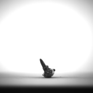 W:1.6 (cm)×D:8.6 (cm)×H:2.7 (cm)／12 (g)，Measurement date:1993-12-03