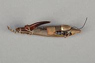 B:1.5 (cm)×T:2.7 (cm)×V:8.7 (cm)／12 (g)，Measurement date:2025-02-13