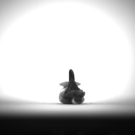 W:1.7 (cm)×D:8.6 (cm)×H:2.3 (cm)／10 (g)，Measurement date:1993-12-06