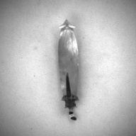 W:1.7 (cm)×D:8.6 (cm)×H:2.3 (cm)／10 (g)，Measurement date:1993-12-06