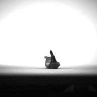 幅：1.7 (cm)×奥行：9.4 (cm)×高さ：2.4 (cm)／13 (g)，撮影・計測日：1993-12-06