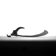 幅：1.7 (cm)×奥行：9.4 (cm)×高さ：2.4 (cm)／13 (g)，撮影・計測日：1993-12-06