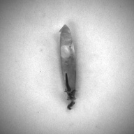 幅：1.7 (cm)×奥行：9.4 (cm)×高さ：2.4 (cm)／13 (g)，撮影・計測日：1993-12-06