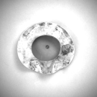 W:14 (cm)×D:12 (cm)×H:2.3 (cm)／635 (g)，Measurement date:1993-12-07