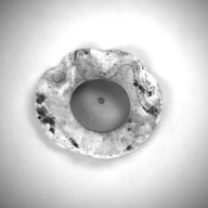 W:18 (cm)×D:15 (cm)×H:2.9 (cm)／1.12 (kg)，Measurement date:1993-12-07