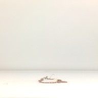 W:1.7 (cm)×D:29 (cm)×H:0.6 (cm)／21 (g)，Measurement date:1996-07-03