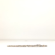 幅：2.4 (cm)×奥行：41 (cm)×高さ：1.3 (cm)／86 (g)，撮影・計測日：1996-07-03