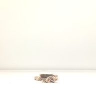 幅：3.3 (cm)×奥行：36 (cm)×高さ：4.4 (cm)／113 (g)，撮影・計測日：1996-07-03