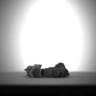 W:2.1 (cm)×D:12 (cm)×H:1.6 (cm)／46 (g)，Measurement date:1993-12-07