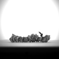 W:2.2 (cm)×D:12 (cm)×H:1.6 (cm)／47 (g)，Measurement date:1993-12-07