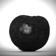 W:4.7 (cm)×D:4.7 (cm)×H:3.8 (cm)／110 (g)，Measurement date:1993-12-08