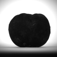 W:5.3 (cm)×D:5.0 (cm)×H:3.4 (cm)／123 (g)，Measurement date:1993-12-08