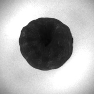 W:5.3 (cm)×D:5.0 (cm)×H:3.4 (cm)／123 (g)，Measurement date:1993-12-08