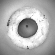 幅：15 (cm)×奥行：15 (cm)×高さ：3.1 (cm)／1.46 (kg)，撮影・計測日：1993-12-09