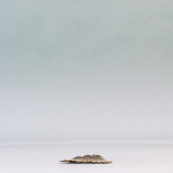 幅：8.0 (cm)×奥行：23 (cm)×高さ：0.8 (cm)／40 (g)，撮影・計測日：2003-10-29