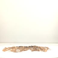 幅：61 (cm)×奥行：53 (cm)×高さ：1.4 (cm)／140 (g)，撮影・計測日：1998-02-12