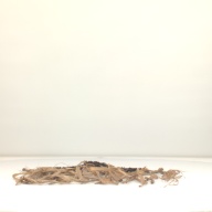 幅：55 (cm)×奥行：46 (cm)×高さ：1.2 (cm)／140 (g)，撮影・計測日：1998-02-12